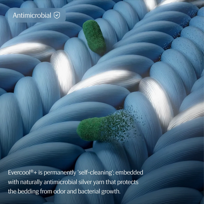 Evercool®+ Cooling Starter Sheet Set